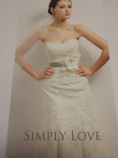 Simply Love Brides Blogs - 揀Bigday婚紗（一）
