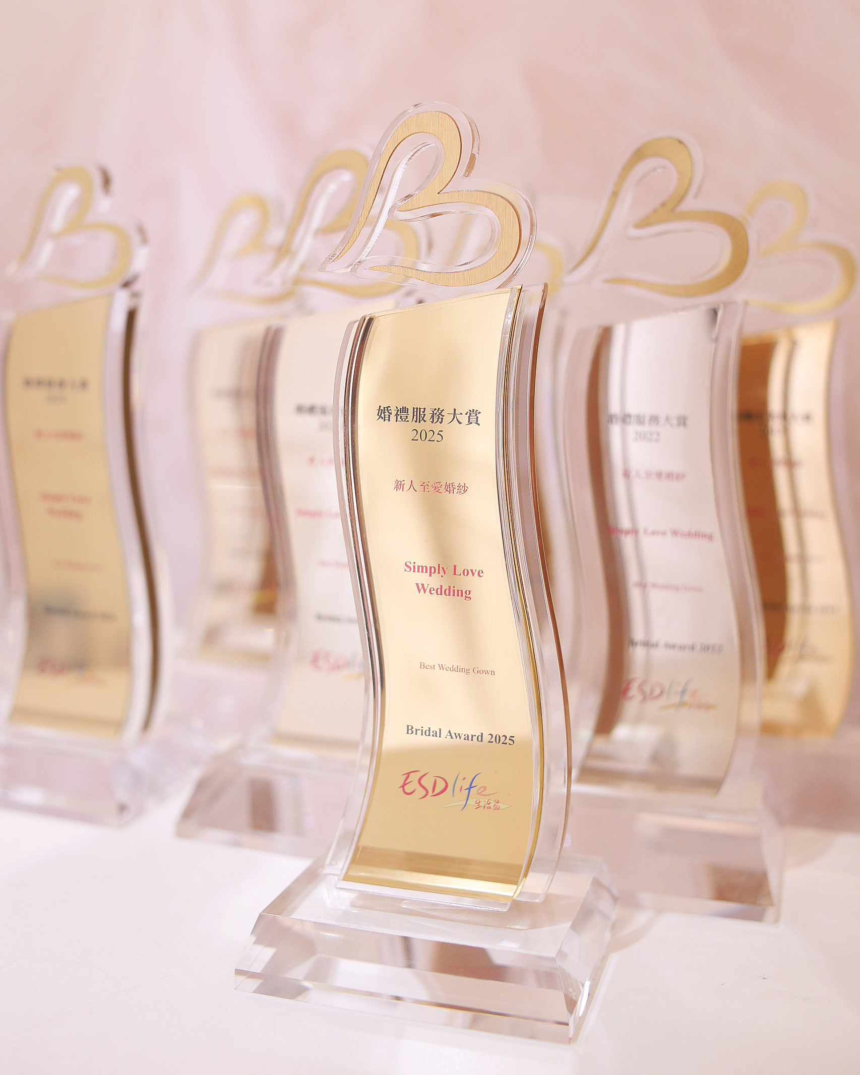 ESDLife Bridal Award - The Best Wedding Gown