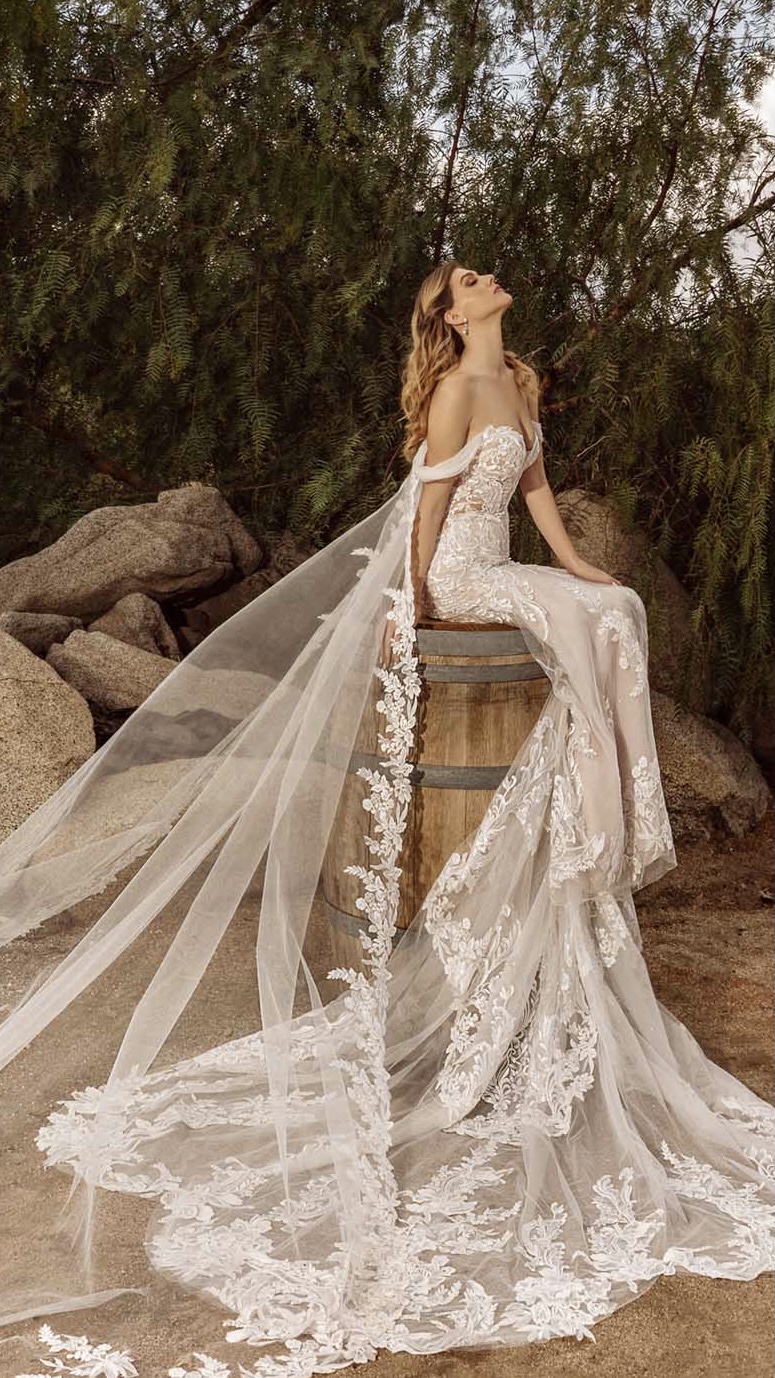 AMIRA